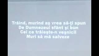 Nu sunt in stare să-nțeleg..