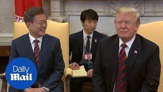 Trump meets with South Korean President Moon Jae-In at the White House