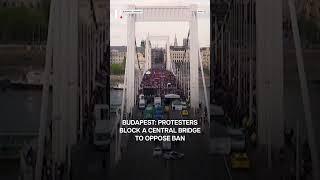 Hungary: Massive Protest Against LGBT Pride Parade Ban | N18G