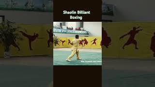 Shaolin Brilliant Boxing #kungfu #shaolinkungfu #neuquen #karate
