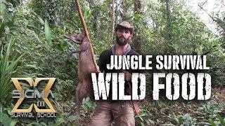 Living off the Jungle, Wild Foods Tour