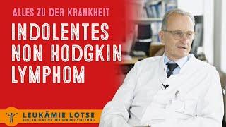 Indolente (Non-Hodgkin) Lymphome: alles über die Krankheiten