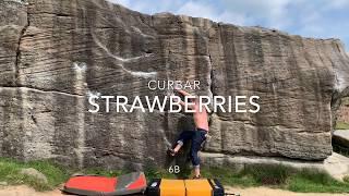 Curbar - Strawberries 6B