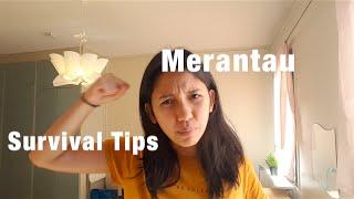 Merantau | Survival Tips