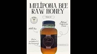 Unlock the incredible power of Melipona Bee Raw Honey