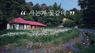 5days in the city, 2days in the countryside! Korean country house where the flower party started