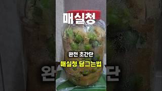 매실청 담그는법 초간던 #매실청담그기