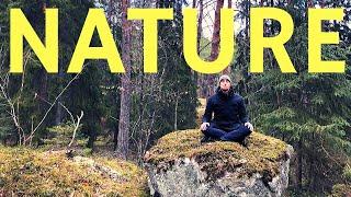 Spending more Time in Nature is changing my Life
