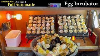 How to Make Full Automatic Egg Incubator At home - Hatched 60 Eggs to baby chicks