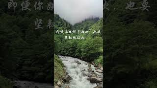 跌倒 坚韧 站起来 #正能量 #疗愈 #静心小筑 #女性心灵驿站 #shorts