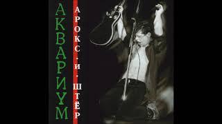 Аквариум - Прекрасный дилетант (6 января 1982 ДК им. Луначарского, Арокс и Штёр)