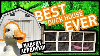 Easiest Duck House for Quick Farm Chores