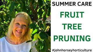 HOW TO PRUNE A VICTORIA PLUM TREE - SUMMER PLUM TREE PRUNING