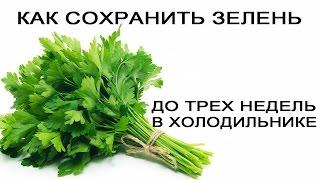 Как сохранить зелень до 3-ох недель в холодильнике.