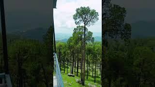 Exploring the Fire Watch Tower in Kotli Sattian | Stunning Forest Views