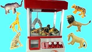 Wild Animals Surprise Toys Game in The Claw Machine │ Learn Animals Names For Kids