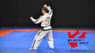 WON - HYO by Jaroslaw Suska - www.tkd-blackbelt.com