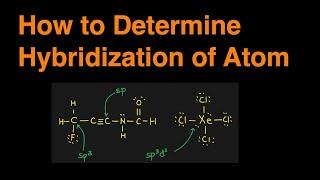 How to Determine the Hybridization of an Atom (sp, sp2, sp3, sp3d, sp3d2) Practice Problem & Example