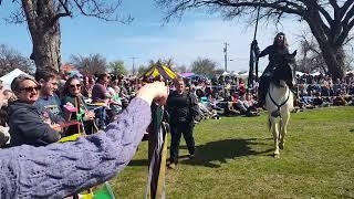 Jousting at Medieval Fair