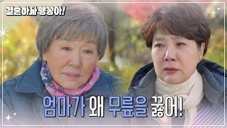 ＂너무 미안해...＂ 우는 양미경을 달래주는 반효정  [결혼하자 맹꽁아!/My Merry Marriage] | KBS 241224 방송