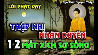 THẬP NHỊ NHÂN DUYÊN | 12 NHÂN DUYÊN KIẾP NGƯỜI  #phatphap #lời_phật_dạy