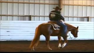 Missouri Livestock Symposium offers horse demonstrations