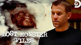 Evidence of the Minnesota Wild Man? | Lost Monster Files | Discovery