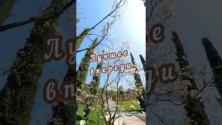 Доброе утро, лучшее впереди