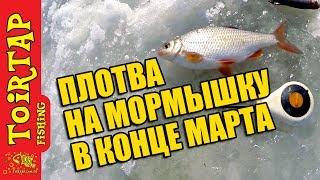 Зимняя рыбалка на плотву!Плотва на мормышку в марте!! Все хитрости рыбалки  по последнему льду!!!