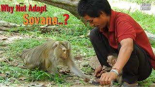 Abandoned Baby Monkey Sovana is Crying Cuz Papa Lin Trying to Gives to Grandma Terasa to Adopt Her