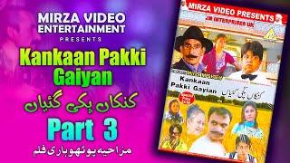 Kankaan Pakki Gayian | Super Hit Pothwari Film | Part 3 | Mirza Entertainment