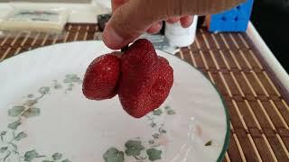 Huge Strawberry from Strawberry Picking in July 2022