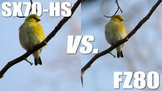 Canon SX70-HS vs. Panasonic FZ80 4K Video Quality Comparison