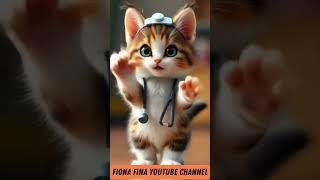 CUTE OVERLOADS  ~ CAT DANCING  
