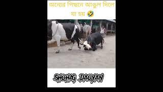 qurbani gorur haat funny videos 2022#viral #video #shorts