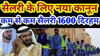 दुबई में सैलरी के लिए नया कानून? कम से कम बेसिक सैलरी 1600 दिरहम? | Dubai Salary News | Uae News
