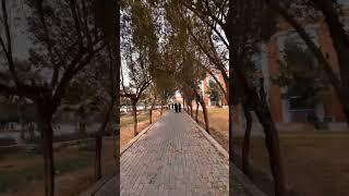 #kfueit #university #department #greenery #love #vlogs #life #ryk #viral #video #reels