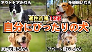 【適正診断】あなたにぴったり！相性の良い犬種を見つけよう！