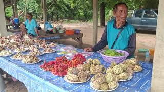 Thailand market Sisaket market ตลาดเห็ด ตลาดของป่าริมมูล บ้านผักขะ ต.ผักขะ อ.ยางชุมน้อย จ.ศรีสะเกษ