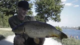 SPANISH CARPERS - CHAPTER 5 - THIS IS VIENNA