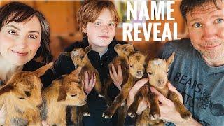 Meet our Baby Goats -- and Their Hilarious *new* Names!