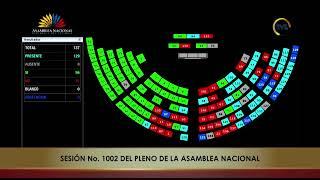 Votación de la moción del Asambleísta Cristhian Vega - Sesión 1002