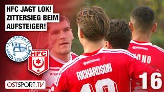 HFC jagt LOK! Zittersieg beim Aufsteiger: Hertha Zehlendorf - Hallerscher FC | Regionalliga Nordost