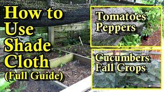 A Garden Shade Cloth Guide - Save Your Crops!: Tomatoes, Peppers, Cucumbers, & Fall Crop Examples