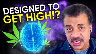 Cosmic Queries – Pot Luck with Neil deGrasse Tyson & Dr. Staci Gruber