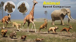 Animal Speed Comparison Part 2 | Fastest Animal ,Birds on Land | Godzilla and Kong Speed