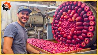 Most Unbelievable Food Industry Machines That At Another Level ▶277