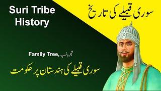 IHC Caste series: History of Suri tribe of lodhi pashtun-  Pashtun family tree