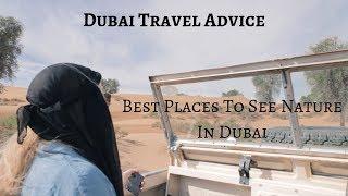 Best Places To Experience Nature In Dubai