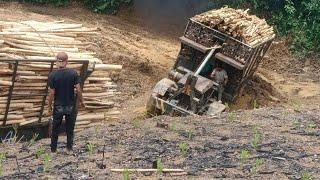 xe độ chở gỗ - Homemade trucks in Vietnam are extremely strong.